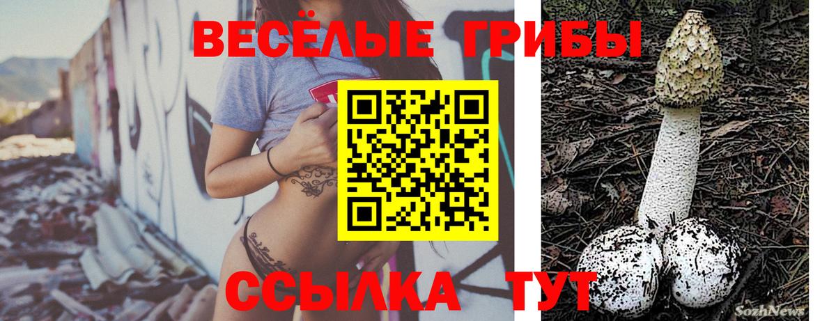 Галлюциногенные грибы Psilocybe  Вход с VPN  Кызыл 