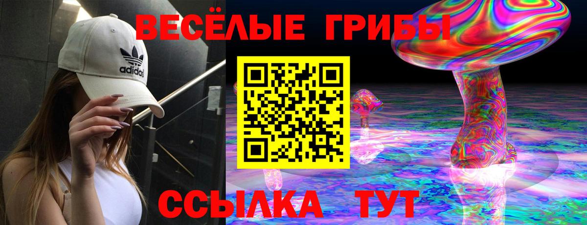 Галлюциногенные грибы Magic Shrooms Кызыл